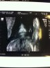 echo 16-11 010.jpg