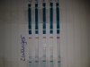 20171130_085915.jpg