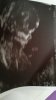 IMG-20171109-WA0008.jpeg