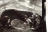 20171205_143826.jpg