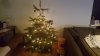 20171205_193044.jpg