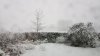 20171210_131158.jpg