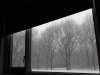 20171211_113652.jpg