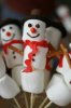 sneeuwpop-marshmallow.jpg