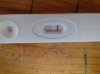 IMG-20171212-WA0005.jpeg