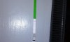 IMG-20171216-WA0010.jpeg