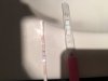 F81EE747-3650-407B-9BA1-DF75FC9DA618.jpeg