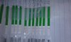 IMG-20171218-WA0021.jpeg