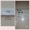 PhotoGrid_1513767221998.jpg