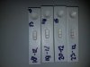 20171223_071048.jpg