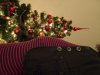 DSC01619.JPG