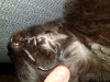 20171224_191752.jpg
