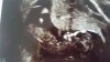 20171225_113201.jpg