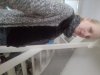 20171228_135013.jpg
