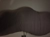 FE899CD3-0D7A-41EF-A983-C6355852A8D3.jpeg