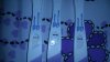 IMG-20171228-WA0070.jpeg