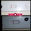 IMG_2017-12-29_11-51-36.JPG