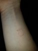 IMG-20171230-WA0010.jpg