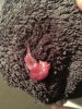 IMG-20171230-WA0022.jpg