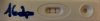 94814689-7D69-4754-AD13-611BFAF551FA.jpeg