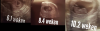 3echo.png
