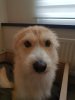 20180104_133844.jpg