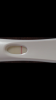 754B015D-18A1-4D07-8957-C8A03D28C9C7.png