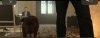 F1A1E9A1-3BD6-468A-B993-A876ADB174D5.jpeg
