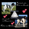 photocollage_2018112104335673.png