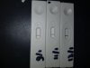 20180113_115144.jpg