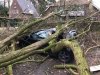 IMG-20180118-WA0001.jpg