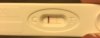 6888C44D-426A-4DF6-8927-AE7996486C71.jpeg