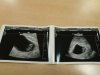 IMG-20180125-WA0005_1516894085177.jpg