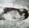 20180131_134848.jpg