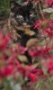 20170801_0041.jpg