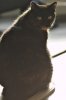 20180128_0177.jpg