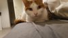 20170929_083819.jpg