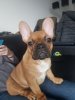 IMG-20180131-WA0000.jpg