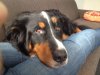 IMG-20171002-WA0003.jpg