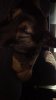 IMG-20171217-WA0000.jpeg