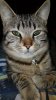 IMG-20171205-WA0012.jpg