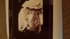 IMG-20180205-WA0017.jpeg