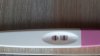 IMG-20180205-WA0005.jpeg