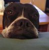 20171021_015108.jpg