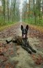 IMG-20180105-WA0007.jpg