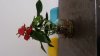IMG-20171230-WA0006.jpeg