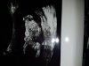 20180209_170413.jpg