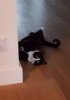IMG-20180113-WA0015.jpg