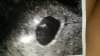 IMG-20180214-WA0009.jpeg