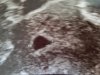 20180216_134701.jpg
